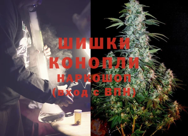 гашиш Богданович