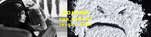 гашиш Богданович