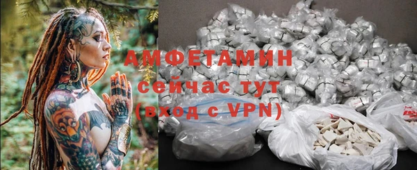 гашиш Богданович