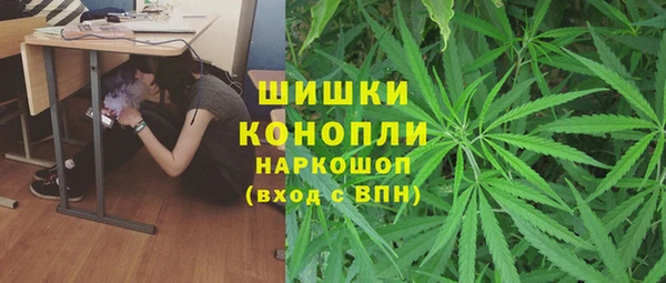 гашиш Богданович