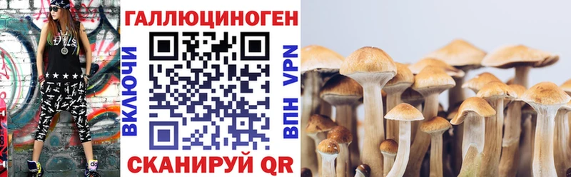 Купить где  Пестово  Галлюциногенные грибы Magic Shrooms 
